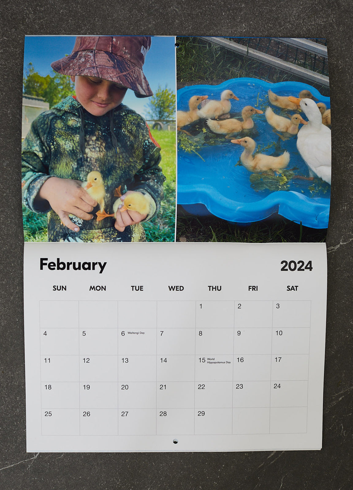 Kiwi Country Kids 2024 Calendar