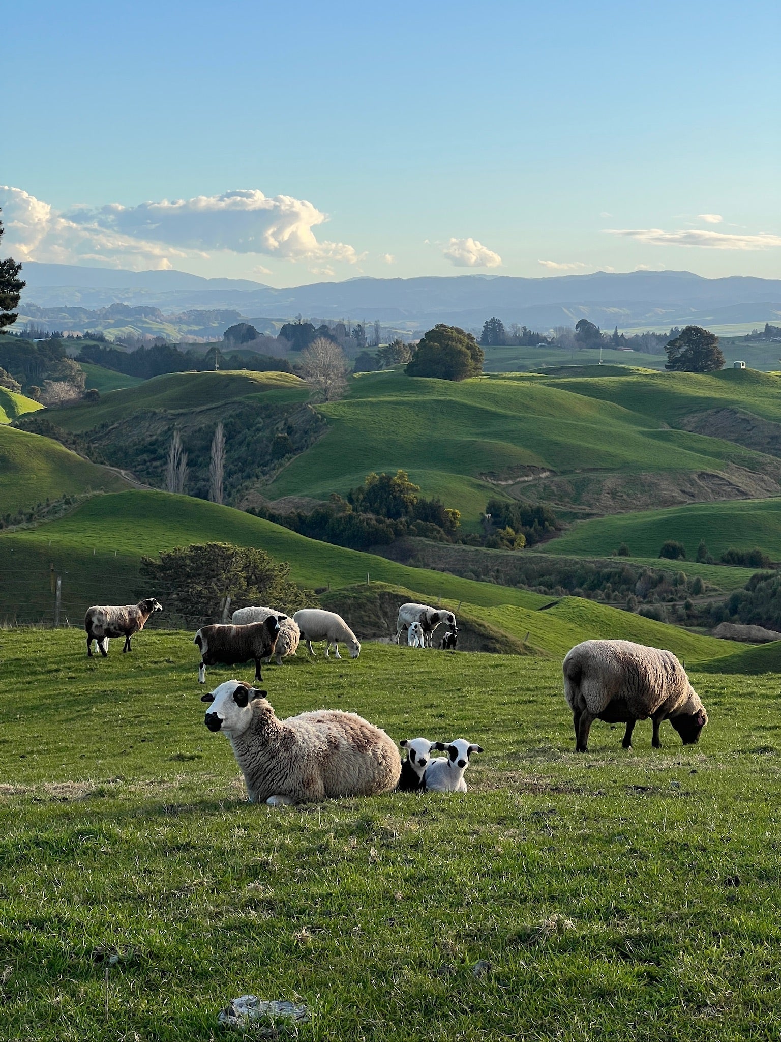 On-Farm Learning Coming Soon