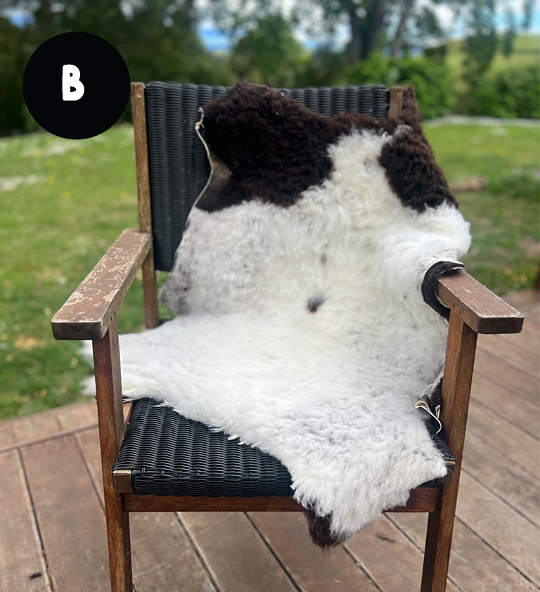 Homegrown High Welfare Sheepskins