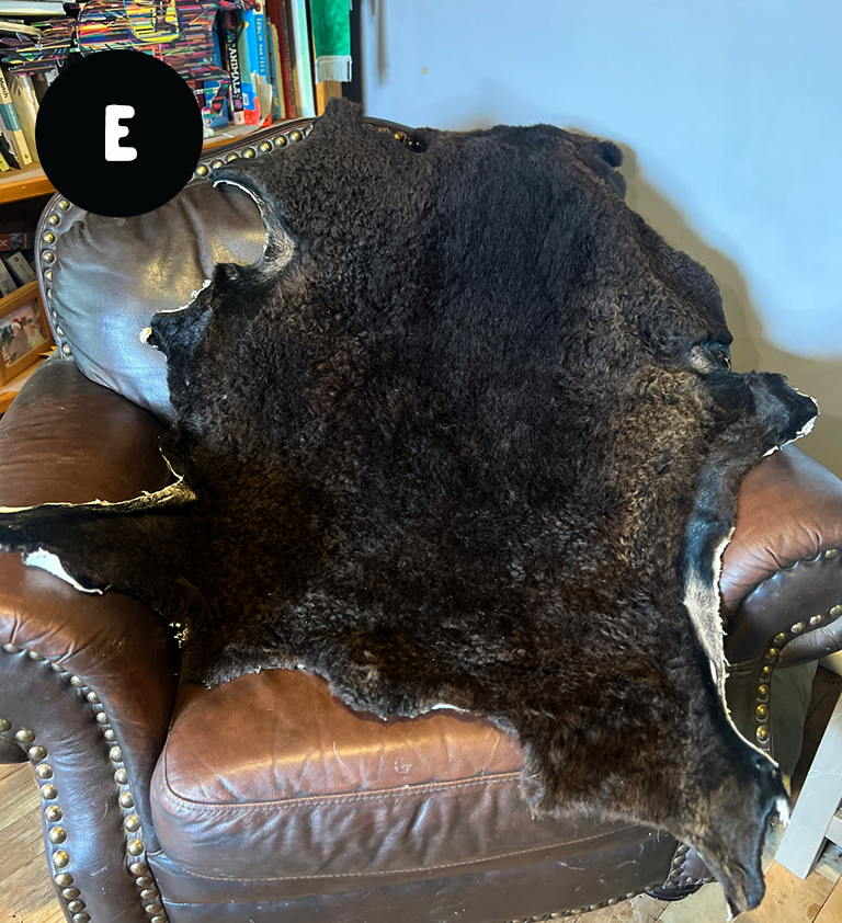 Homegrown High Welfare Sheepskins