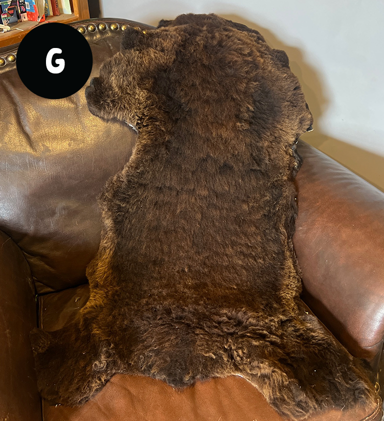 Homegrown High Welfare Sheepskins